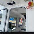 Thumbnail for picture 11