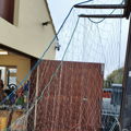 Thumbnail for picture 2