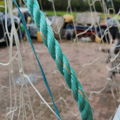 Thumbnail for picture 5