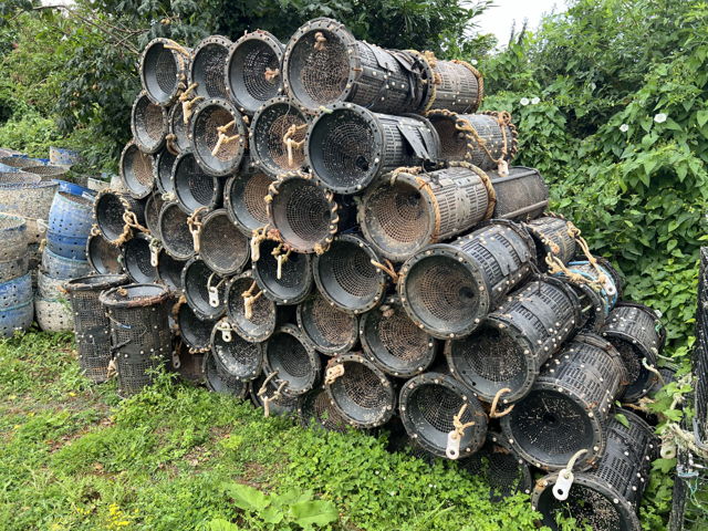 Large picture for advert 144108