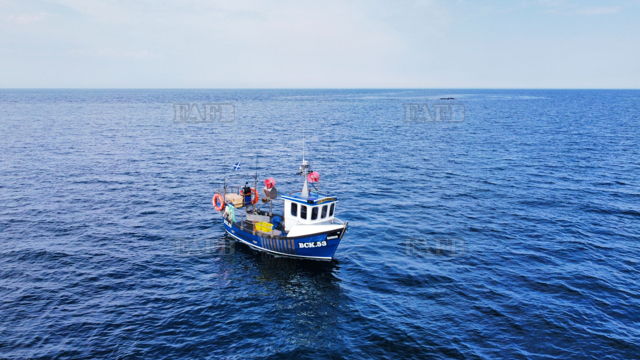 Large picture for advert 147108