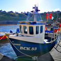 Extra picture for advert 147108