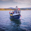 Extra picture for advert 147108