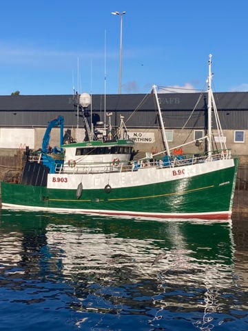 Macduff