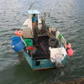 Extra picture for advert 149011