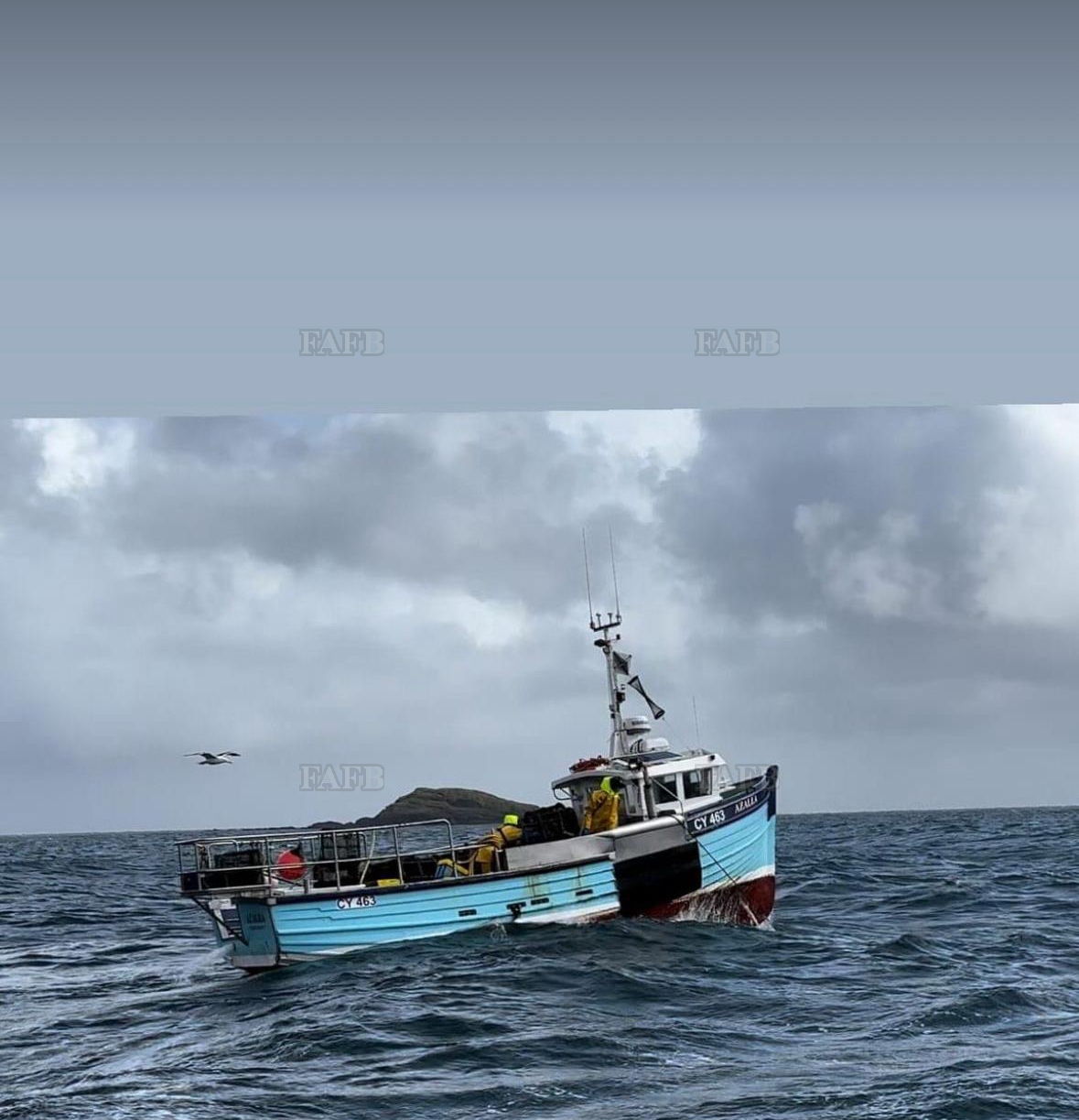 Large picture for advert 141110