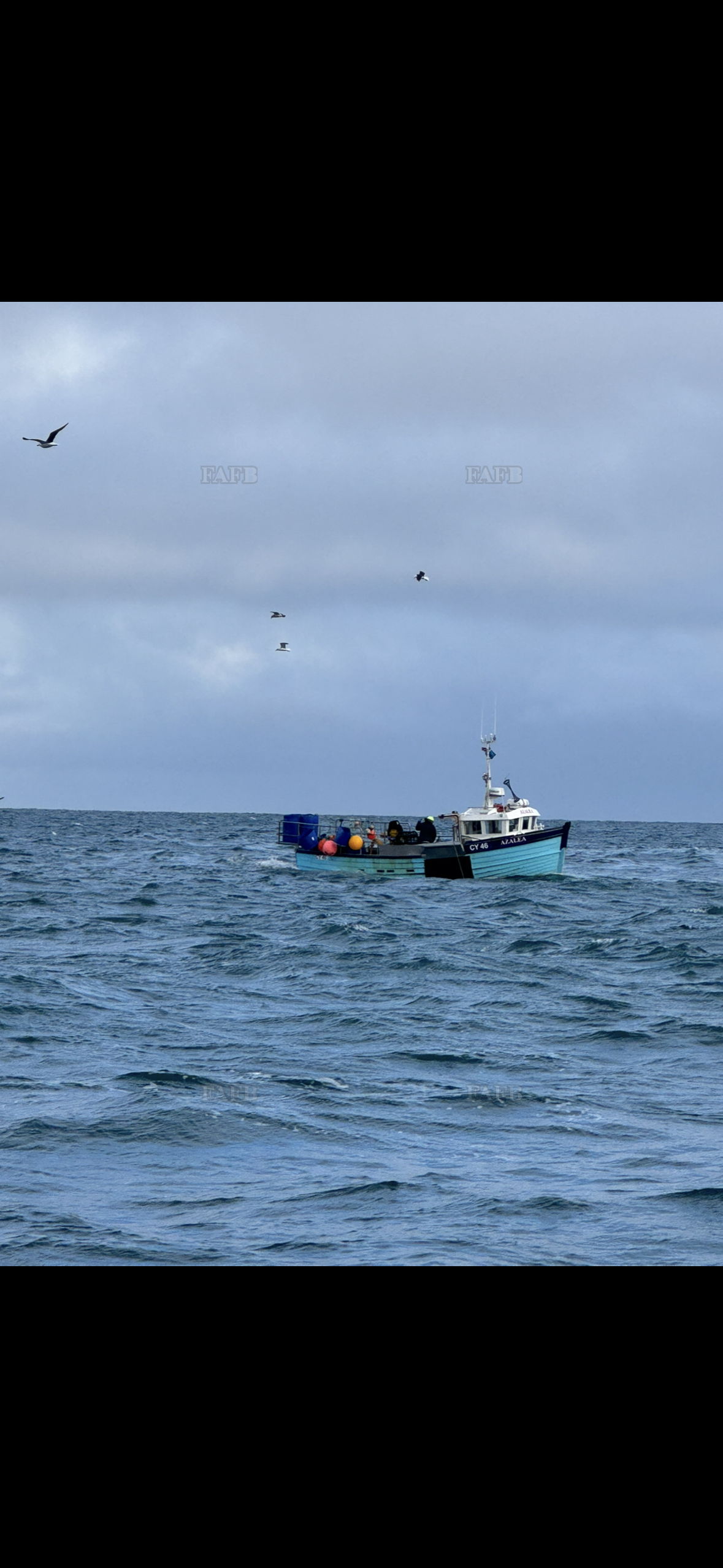 Large picture for advert 141110