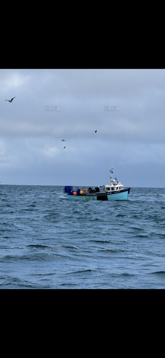 Large picture for advert 141110