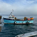 Extra picture for advert 141110