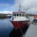 Extra picture for advert 146111
