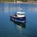 Extra picture for advert 148111