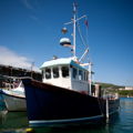 Extra picture for advert 148111