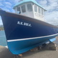 Extra picture for advert 148111