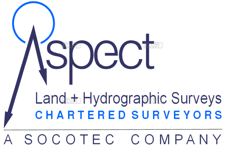 Survey Skipper