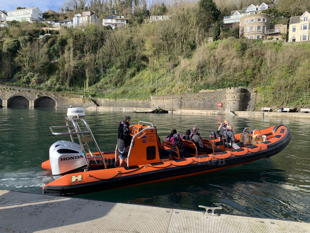 Humber 10m Quinquari