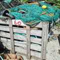 Extra picture for advert 147114
