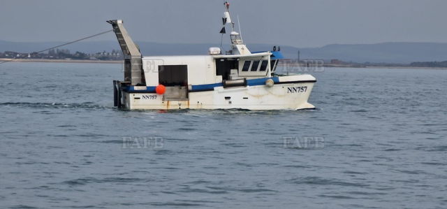 Large picture for advert 141116