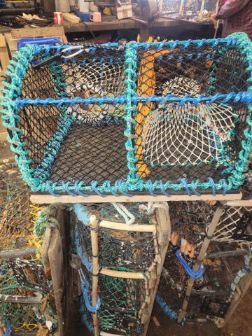 Prawn pots