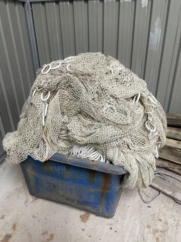 Herring Brailer