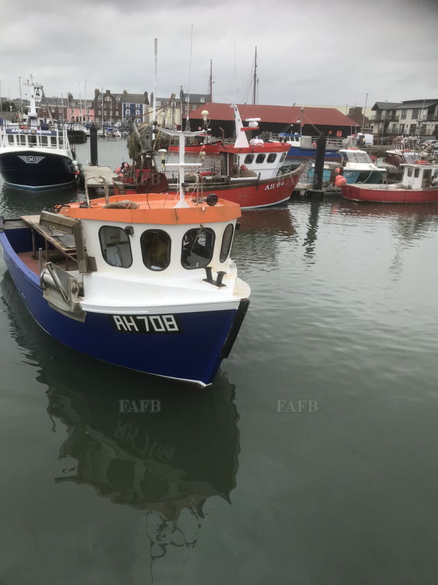 Large picture for advert 140122