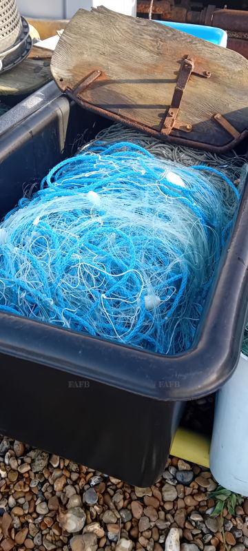 Ray nets