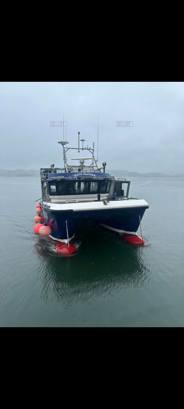 Large picture for advert 139123