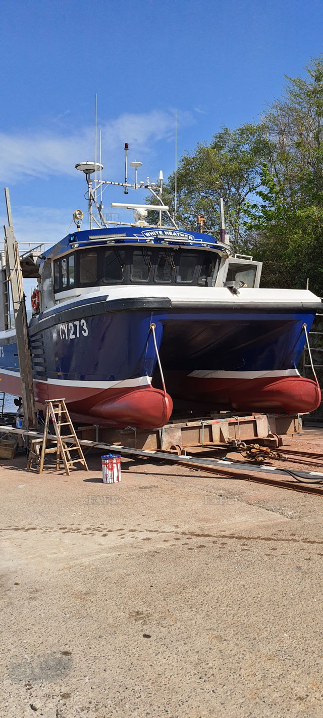 Large picture for advert 139123