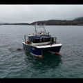 Extra picture for advert 139123