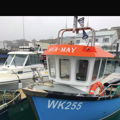 Extra picture for advert 148124