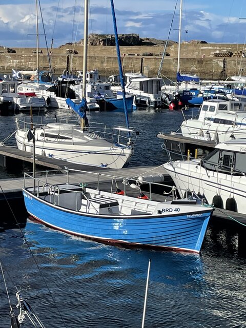 Islander 19 - picture 1