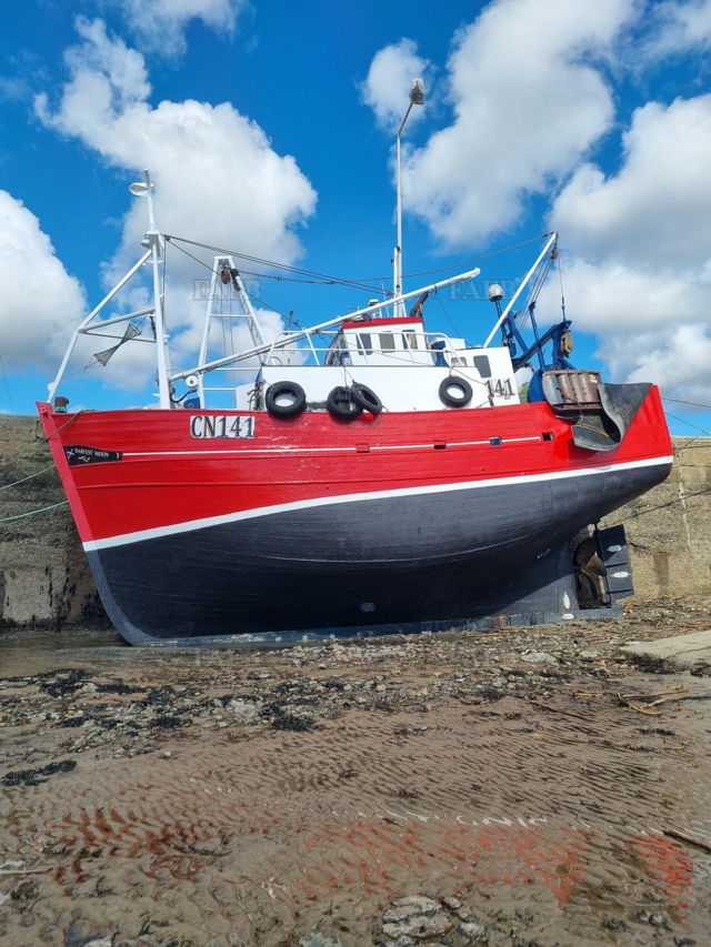Large picture for advert 137126