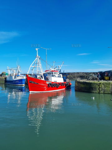 Main picture for advert 137126