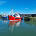 Extra picture for advert 137126