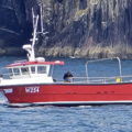 Extra picture for advert 147126