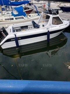 Warrior 175