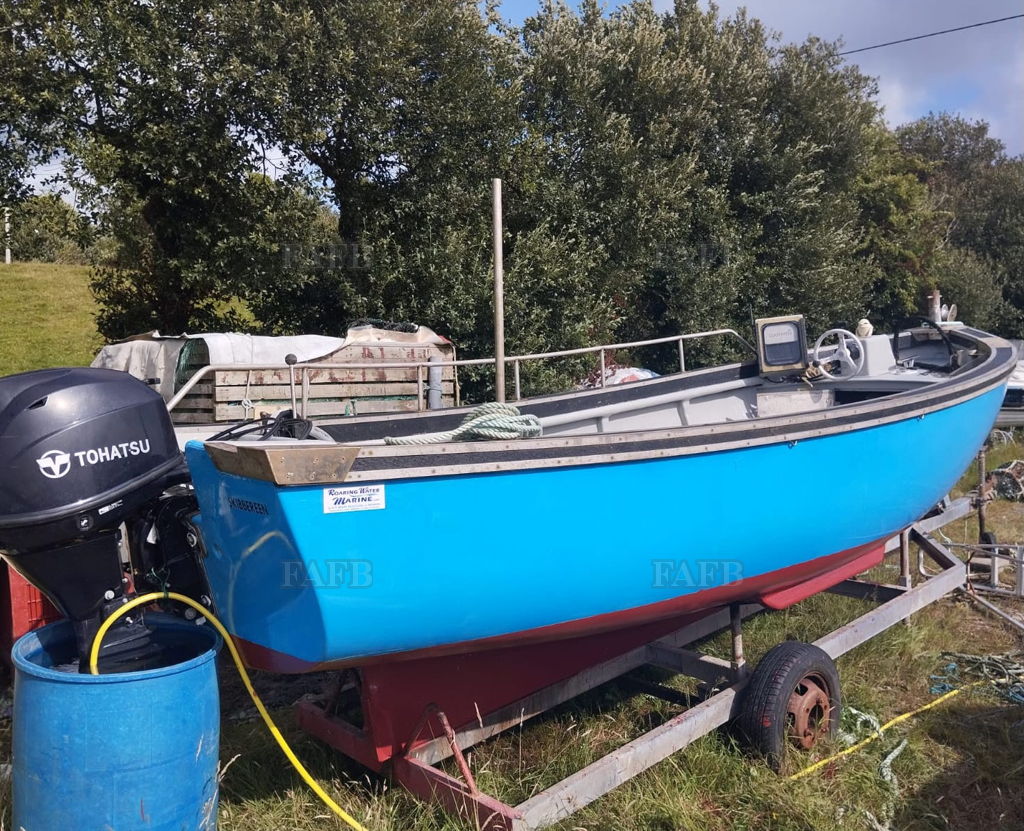 O Sullivans Fibreglass Punt