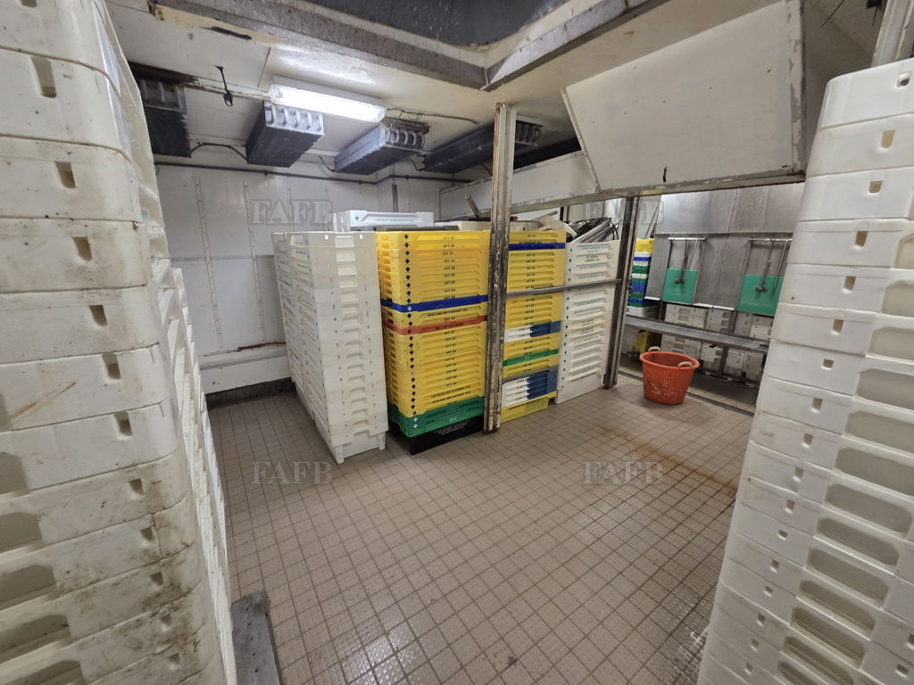 Large picture for advert 144013