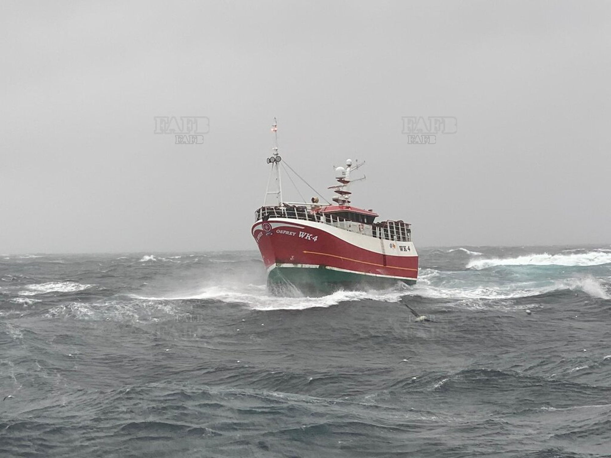 Large picture for advert 137013