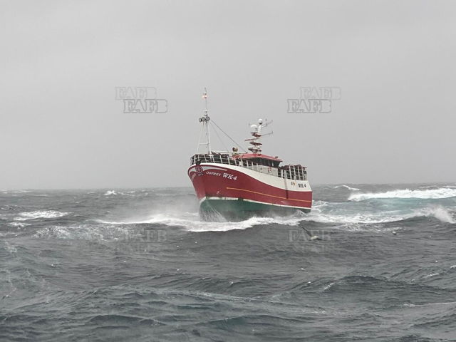 Large picture for advert 137013