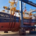 Extra picture for advert 144013