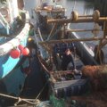 Cheverton - picture 11