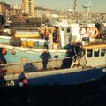 Cheverton - picture 12