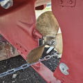 Thumbnail for picture 5