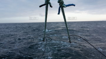 Main picture for advert 144135