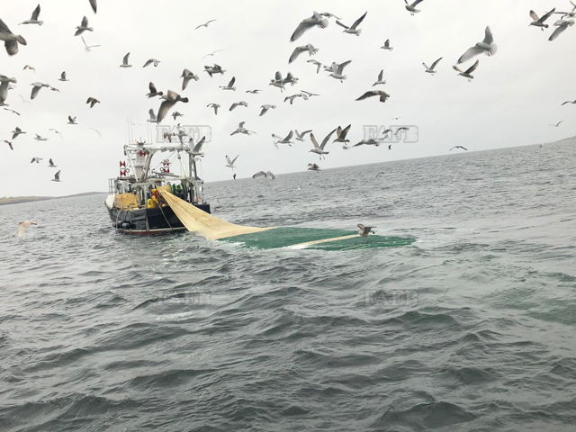 Large picture for advert 143136