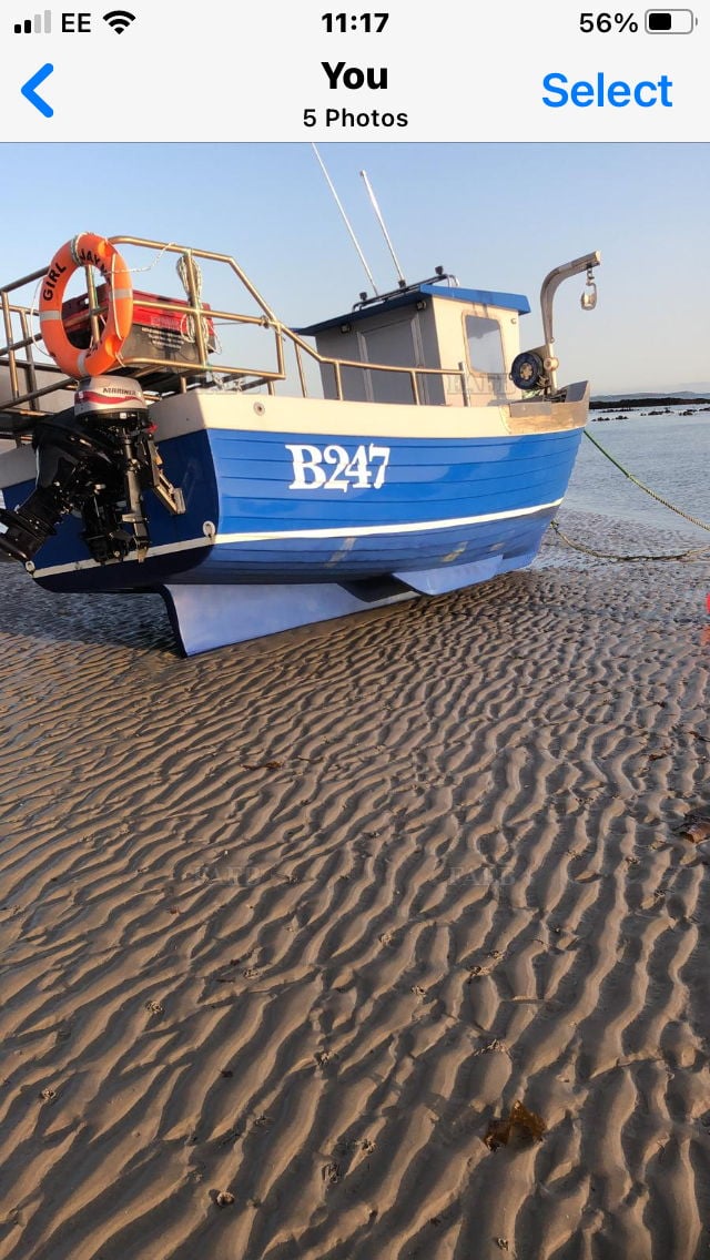 Seal islander