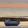 Thumbnail for picture 13