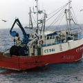 Extra picture for advert 147137