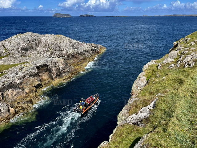 Large picture for advert 139138