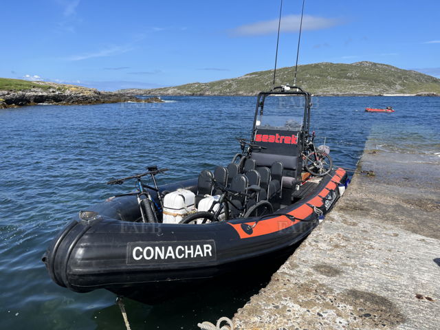 Large picture for advert 139138